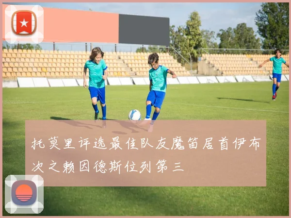 托莫里评选最佳队友魔笛居首伊布次之赖因德斯位列第三