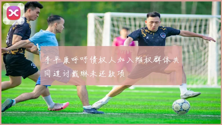 李平康呼吁债权人加入维权群体共同追讨戴琳未还款项