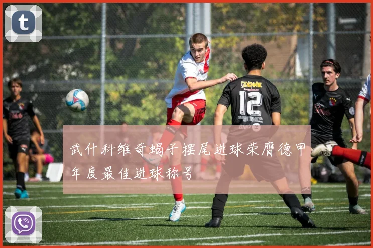 武什科维奇蝎子摆尾进球荣膺德甲年度最佳进球称号