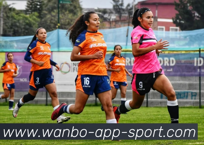 万博体育APP 封面图